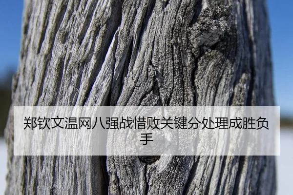 zheng-qin-wen-wen-wang-ba-qiang-zhan-xi-bai-guan-jian-fen-chu-li-cheng-sheng-fu-shou-2-645.jpg